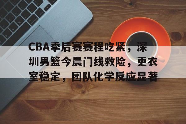 开云体育下载-CBA季后赛赛程吃紧，深圳男篮今晨门线救险，更衣室稳定，团队化学反应显著的简单介绍